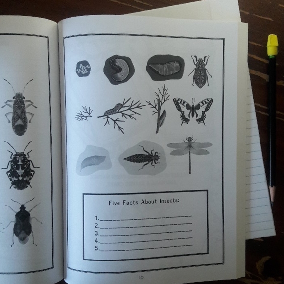 Homeschool Nature Study/Science Journal - Picture 9 of 12